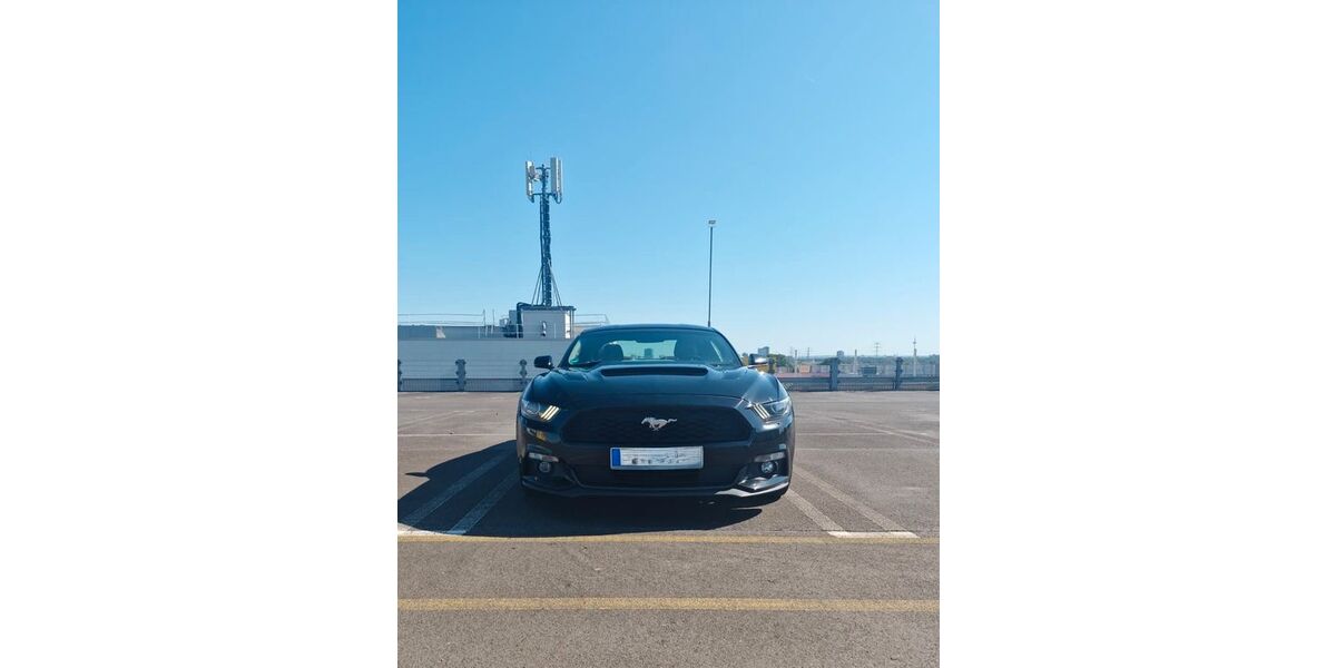 Ford Mustang 77.500 km 19.990 &euro; Frankfurt am Main 65931