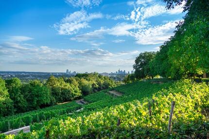 Gewerbeobjekt Offenbach am Main Bürgel - 4.000&euro; | Angebot:23258701