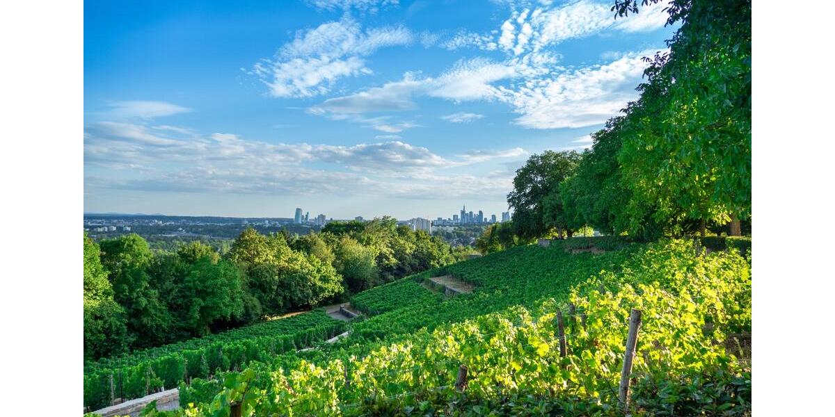 Gewerbeobjekt Offenbach am Main Bürgel - 4.000&euro; | Angebot:23258701