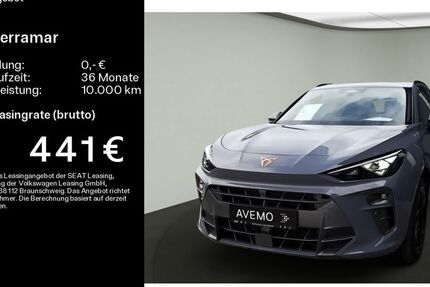 Cupra Terramar 15.000 km 44.000 &euro; Königstein 61462