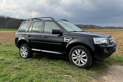 Land Rover Freelander 250.000 km 8.999 &euro; Hofheim 65719