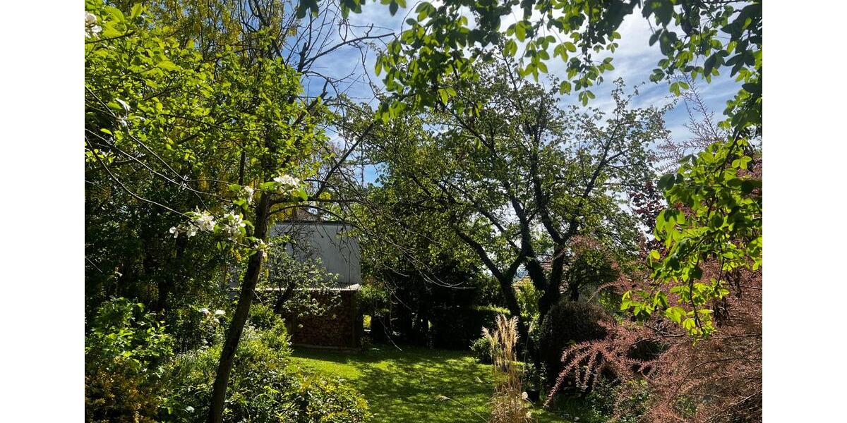 Einfamilienhaus mit großem Garten und Traumblick in Schonungen 6 zimmer