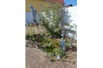 Einfamilienhaus Neuberg - 5 Zimmer, 165 m&sup2;, 325.000&euro; | Angebot:27236601