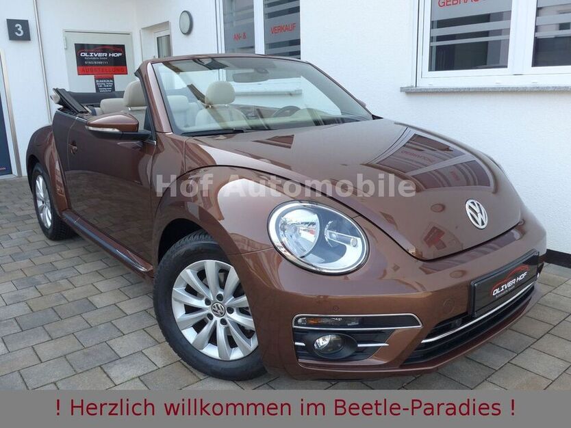 Beetle