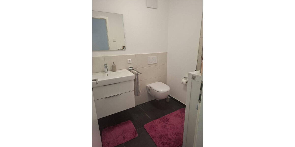 Etagenwohnung Frankfurt am Main Sindlingen - 2 Zimmer, 64 m&sup2;, 1.295&euro; | Angebot:26784577