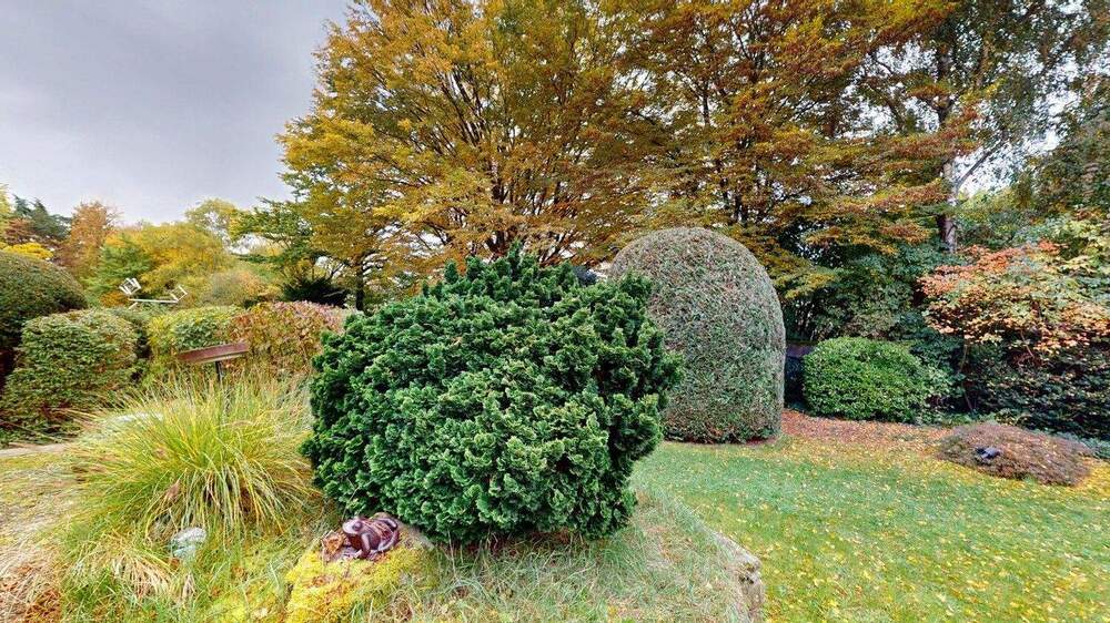 Mehrfamilienhaus, Wohnhaus Frankfurt am Main Eschersheim - 8 Zimmer, 254 m&sup2;, 770.000&euro; | Angebot:24904466