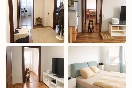 Renoviertes 3 Zimmer Appartment mit großem Balkon, TG-Stelplatz zimmer