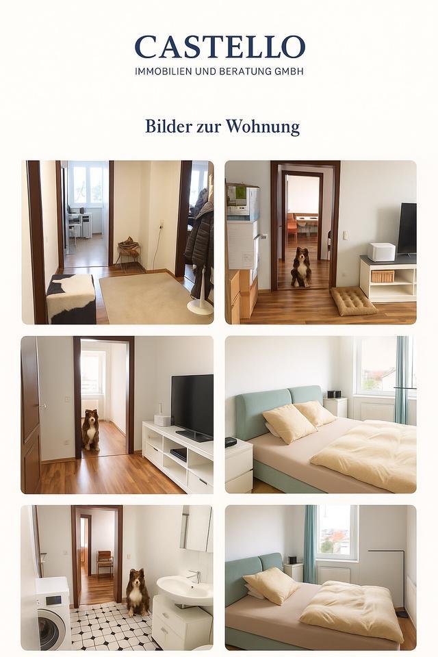 Renoviertes 3 Zimmer Appartment mit großem Balkon, TG-Stelplatz zimmer