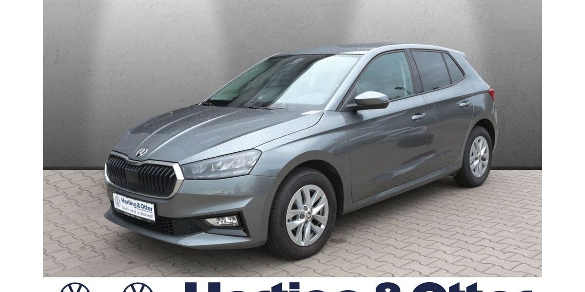 Skoda Fabia 12.900 km 19.900 &euro; Maintal 63477