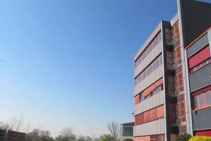 Büro in Flörsheim am Main 339 € 25 m² zimmer