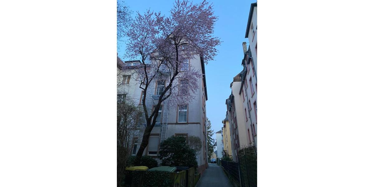 Etagenwohnung Frankfurt am Main Nordend Ost - 3 Zimmer, 68 m&sup2;, 460.000&euro; | Angebot:25655255