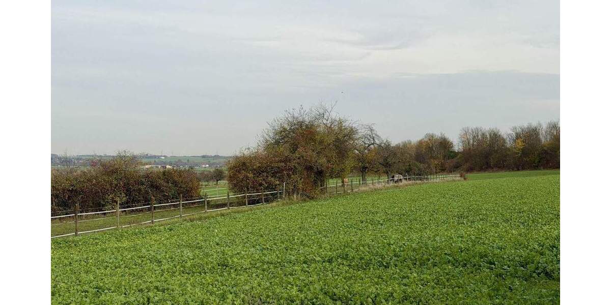 Schöne 3 Zi.-Wohnung mit Terrasse und Einzelgarage in direkter Feldrandlage! 3 zimmer