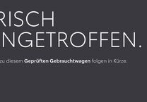 Gebrauchtwagen Lexus NX 450h