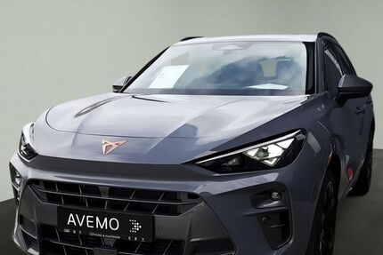 Cupra Terramar 15.000 km 46.800 &euro; Königstein 61462