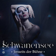 Schwanensee - Jenseits der Bühne - Live Streichquartett 10.05.2026 Willy Brandt Halle