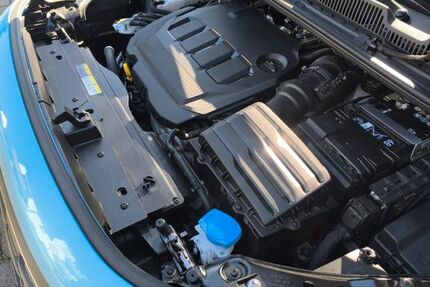 Ford Tourneo Connect 12.600 km 30.499 &euro; Hanau 63454