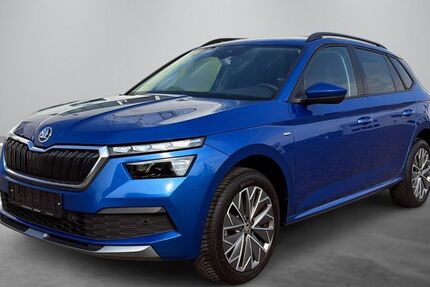 Skoda Kamiq 81.100 km 15.870 &euro; Kleinostheim 63801