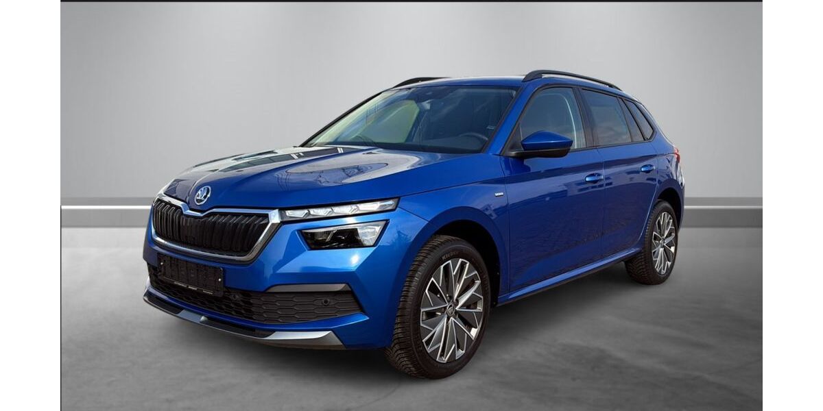 Skoda Kamiq 81.100 km 15.870 &euro; Kleinostheim 63801