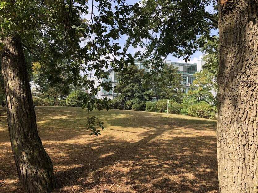 Büro in Darmstadt 1.419 € 202.76 m²