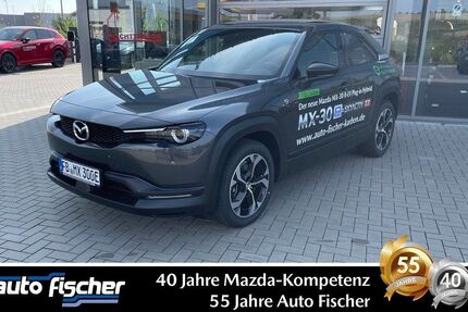 Mazda MX-30 9.934 km 25.990 € Karben 61184