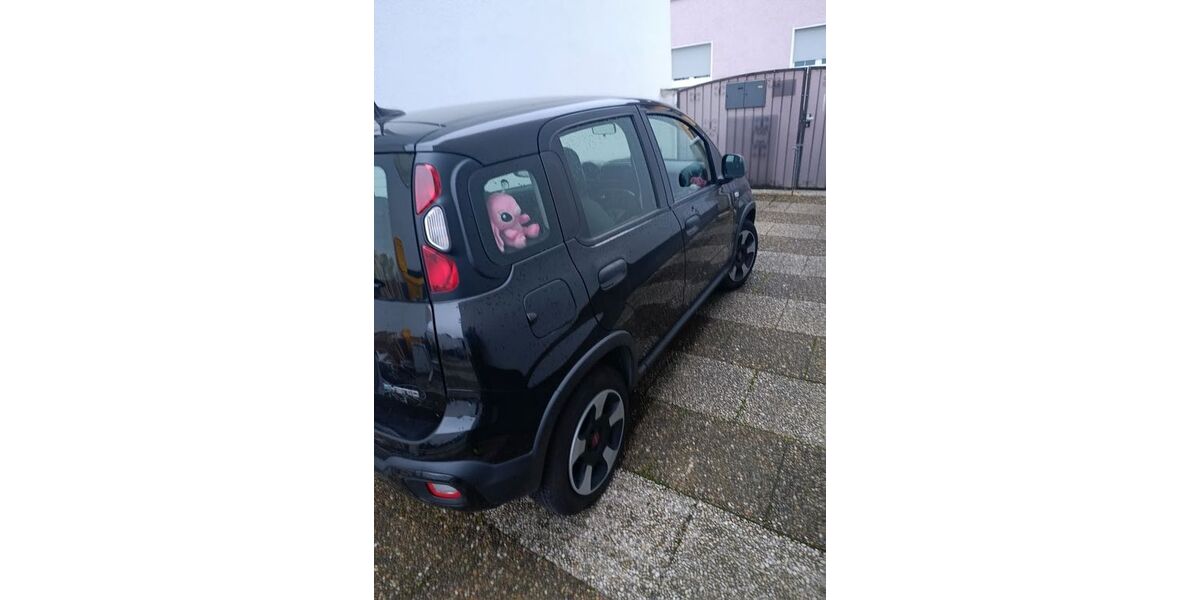 Fiat Panda 30.000 km 13.000 &euro; mühlheim 63165