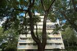 Etagenwohnung Frankfurt am Main Eschersheim - 4 Zimmer, 100 m&sup2;, 390.000&euro; | Angebot:26868811