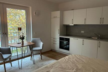 1-Zi. Luxus-Apt. FFM, Erstbezug, 6 Monate, Vollmöbliert, All-In 1 zimmer