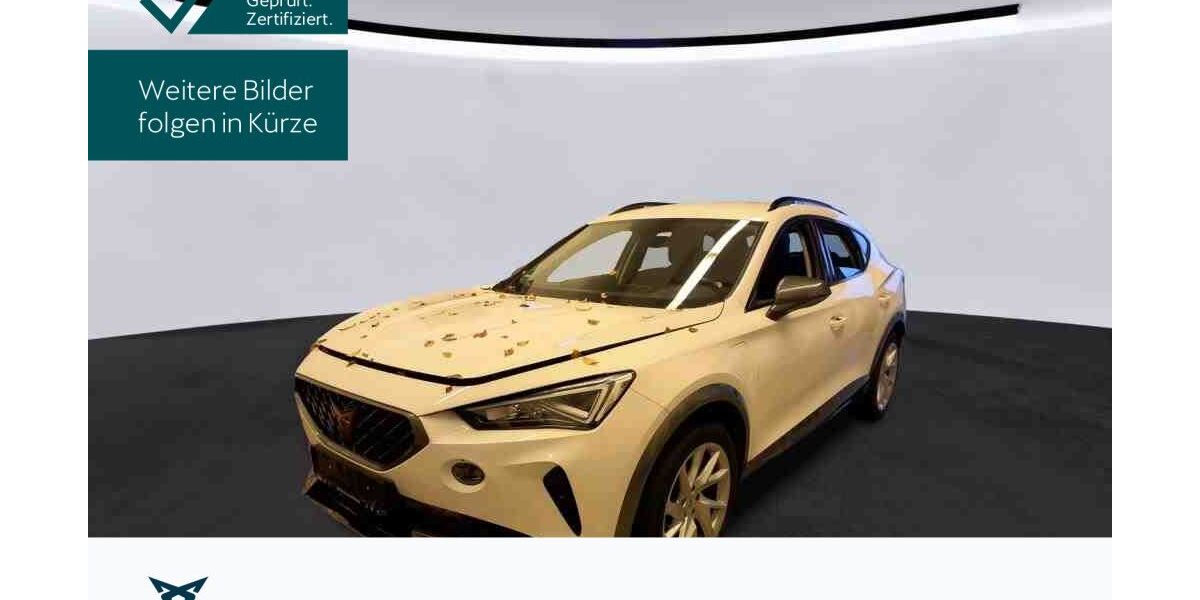 Cupra Formentor 32.435 km 22.980 &euro; Hofheim-Diedenbergen 65719