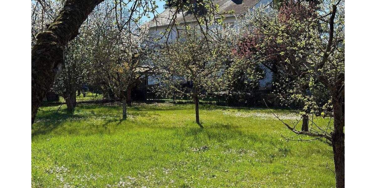 Bungalow mit großem Grundstück zimmer