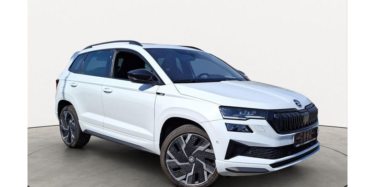 Skoda Karoq 107.160 km 24.150 &euro; Friedberg 61169