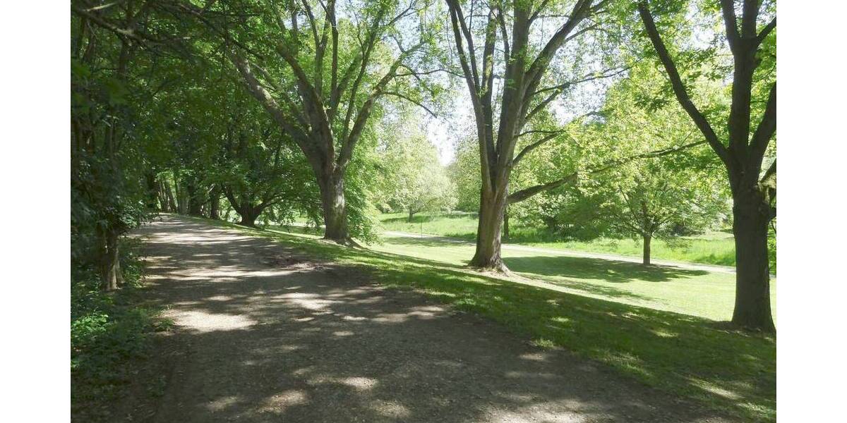 Mehrfamilienhaus, Wohnhaus Frankfurt am Main Sossenheim - 1 Zimmer, 1.850.000&euro; | Angebot:19321027