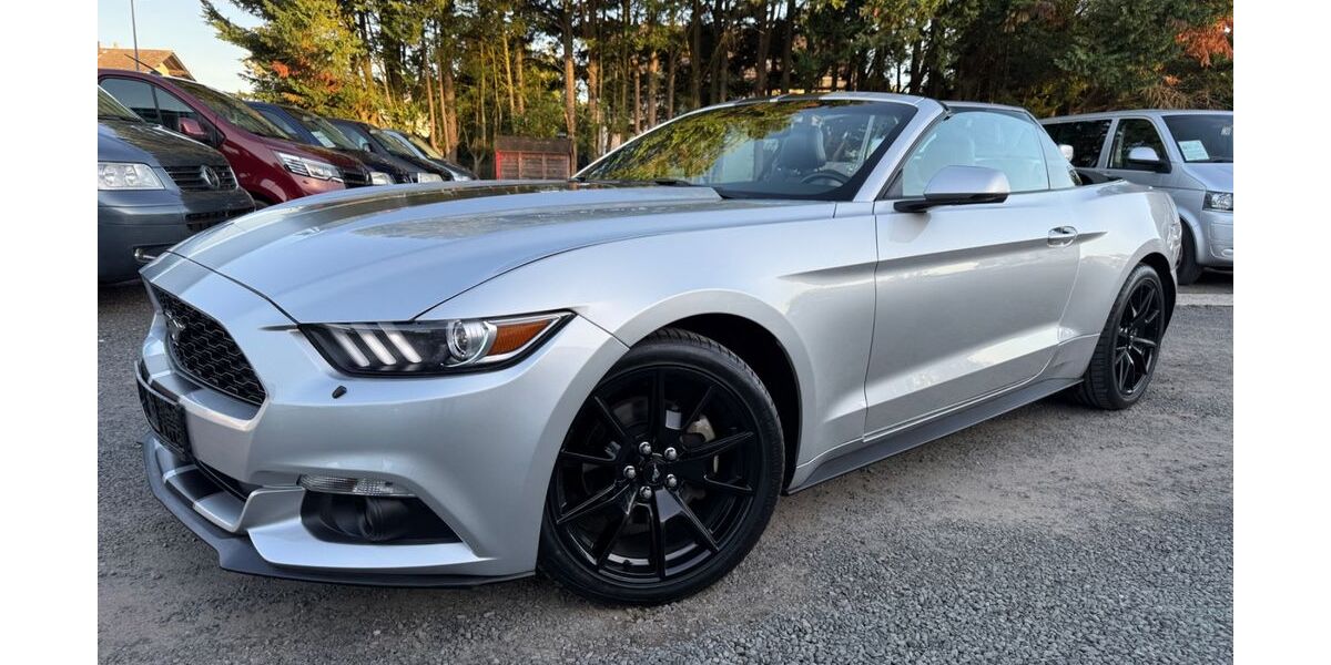 Ford Mustang 85.000 km 19.999 &euro; Nauheim 64569