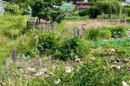 Grundstück zu verkaufen in Frankfurt am Main 17.900 € 129 m² zimmer