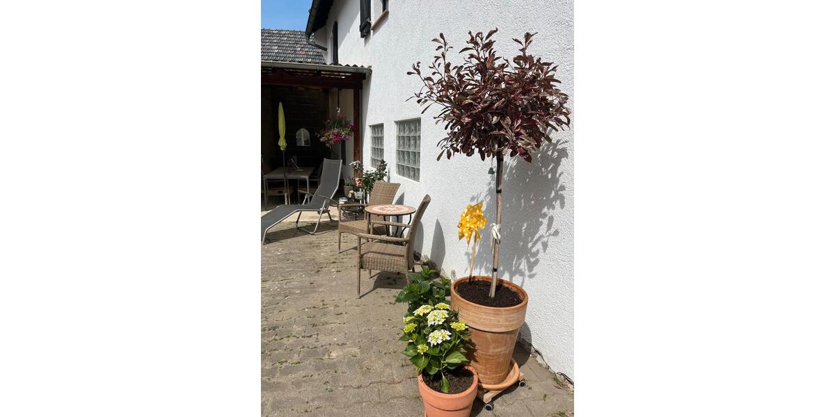 Einfamilienhaus Ober-Mörlen Mörlen - 5 Zimmer, 114 m&sup2;, 499.000&euro; | Angebot:26527058