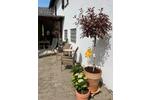Einfamilienhaus Ober-Mörlen Mörlen - 5 Zimmer, 114 m&sup2;, 499.000&euro; | Angebot:26527058
