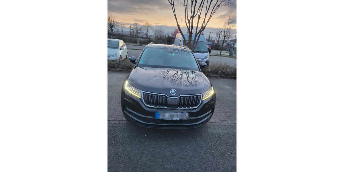 Skoda Kodiaq 175.000 km 18.000 &euro; Bad Nauheim 61231