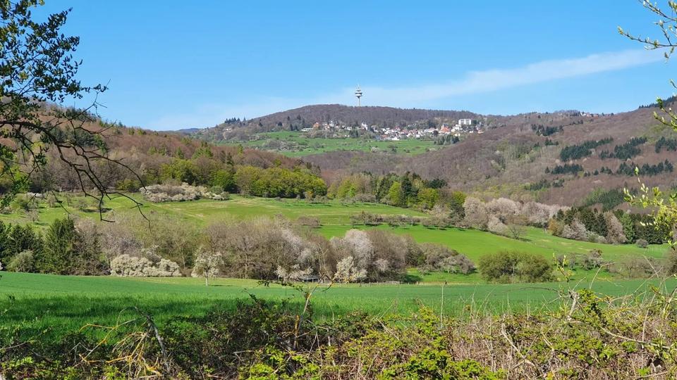 Dachgeschoßwohnung Niedernhausen - 3.5 Zimmer, 81 m&sup2;, 235.000&euro; | Angebot:24626402