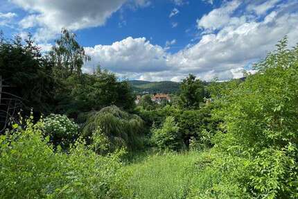 Grundstück Königstein - 1.400.000&euro; | Angebot:24683069