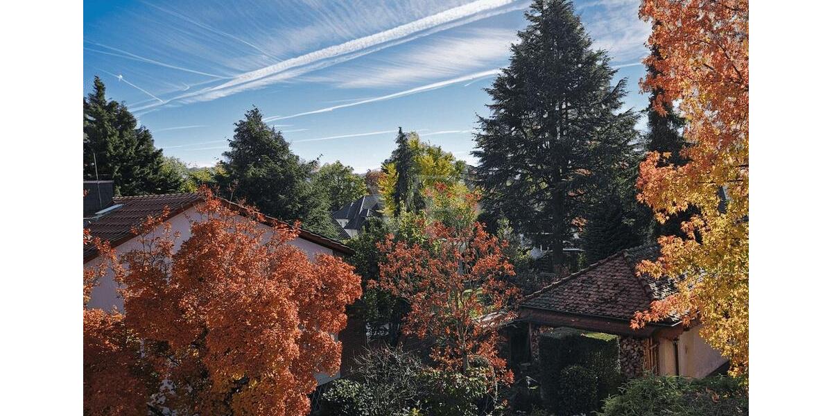 Einfamilienhaus Bad Homburg vor der Höhe Gonzenheim - 5 Zimmer, 227 m&sup2;, 3.300&euro; | Angebot:23393660