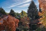 Einfamilienhaus Bad Homburg vor der Höhe Gonzenheim - 5 Zimmer, 227 m&sup2;, 3.300&euro; | Angebot:23393660