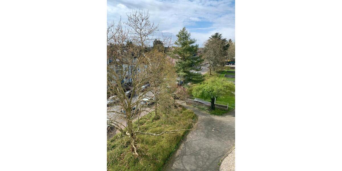 Etagenwohnung Frankfurt am Main Oberrad - 1 Zimmer, 32 m&sup2;, 730&euro; | Angebot:26368859