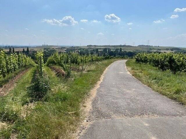 Familiendomizil mit eigenem Garten, vollunterkellert und schlüsselfertig! 5 zimmer