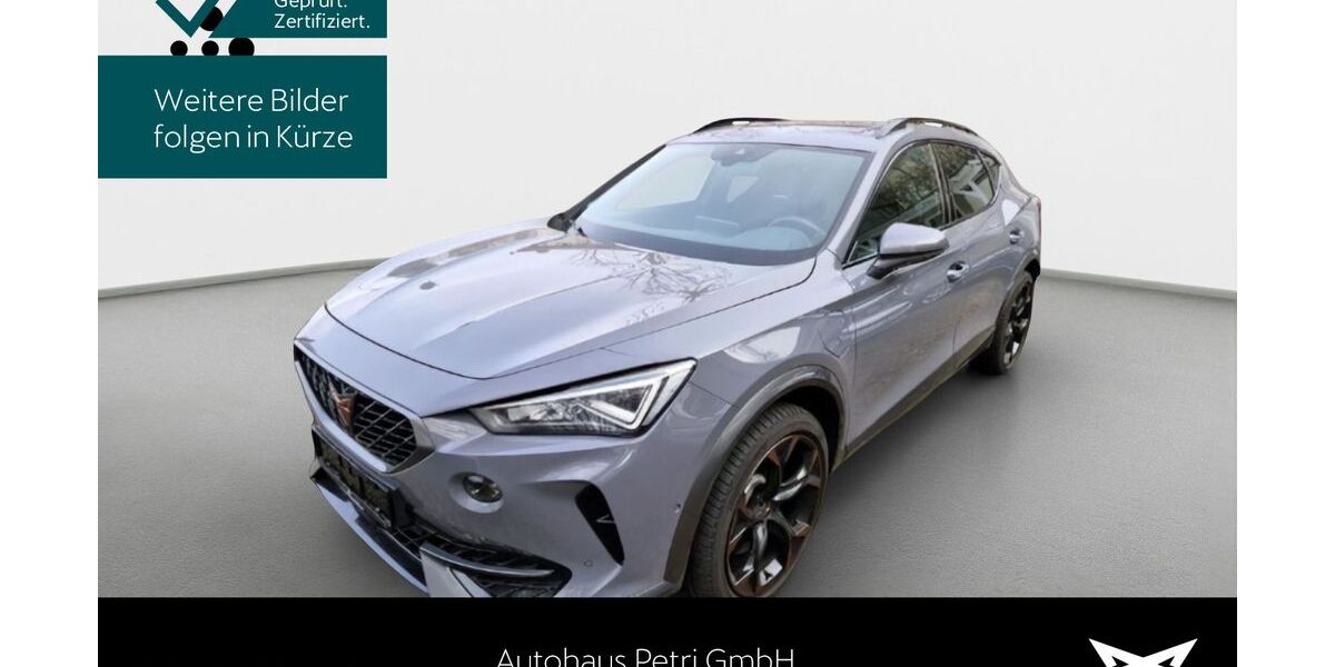 Cupra Formentor 48.944 km 27.390 &euro; Hofheim-Diedenbergen 65719