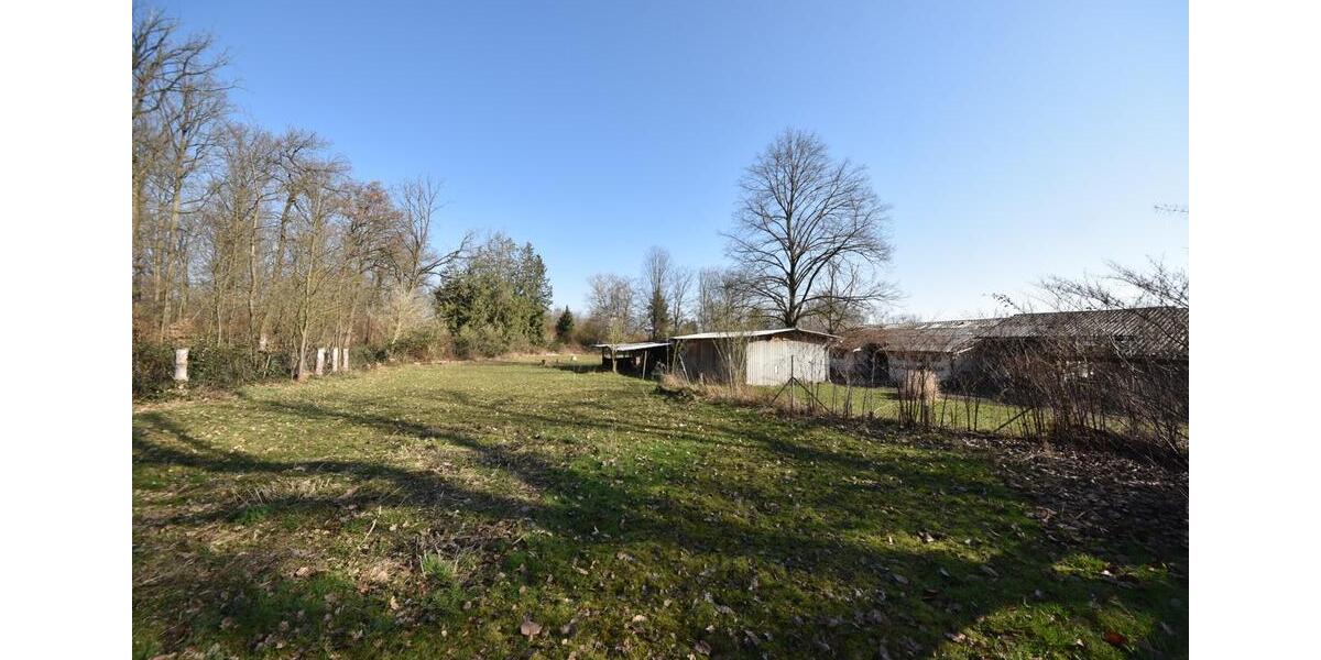 Gewerbeobjekt Seligenstadt - 1.300&euro; | Angebot:25431487