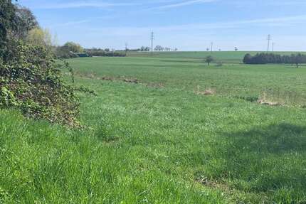 Grundstück in Frankfurt am Main 4.800.000 € 5084 m² zimmer