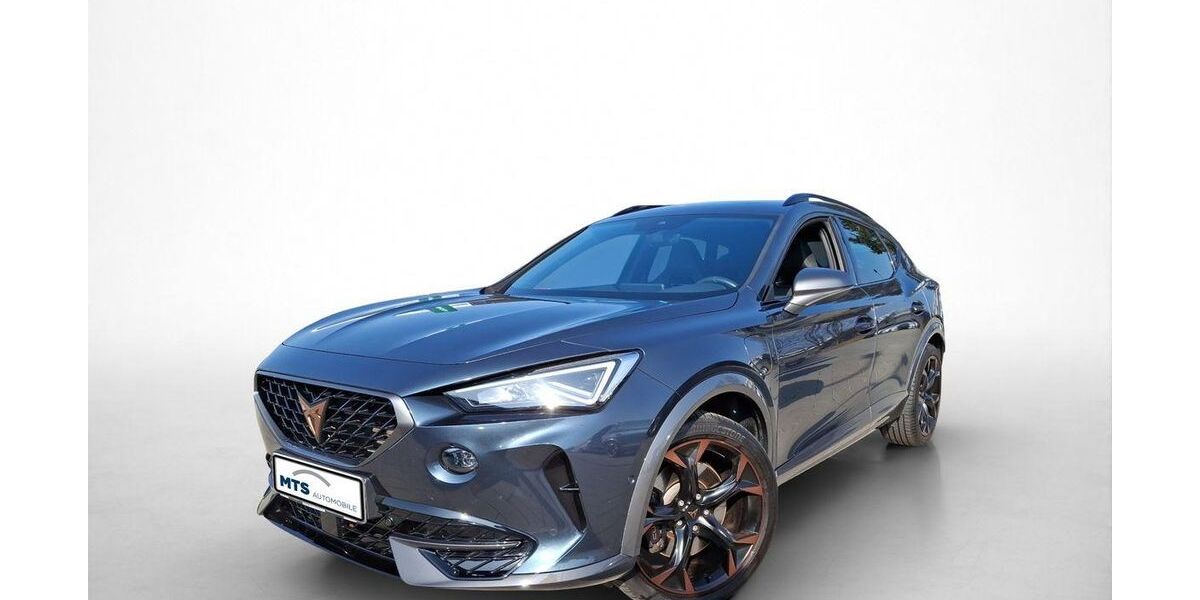 Cupra Formentor 60.427 km 25.650 &euro; Friedberg 61169