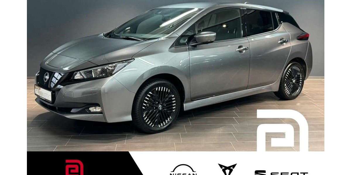 Nissan Leaf 22.216 km 23.205 &euro; Offenbach 63069