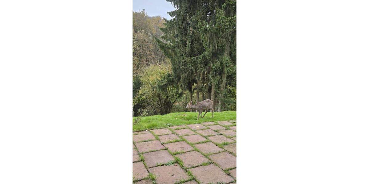 Mehrfamilienhaus, Wohnhaus Bad Soden Altenhain - 4 Zimmer, 90 m&sup2;, 800&euro; | Angebot:25720668