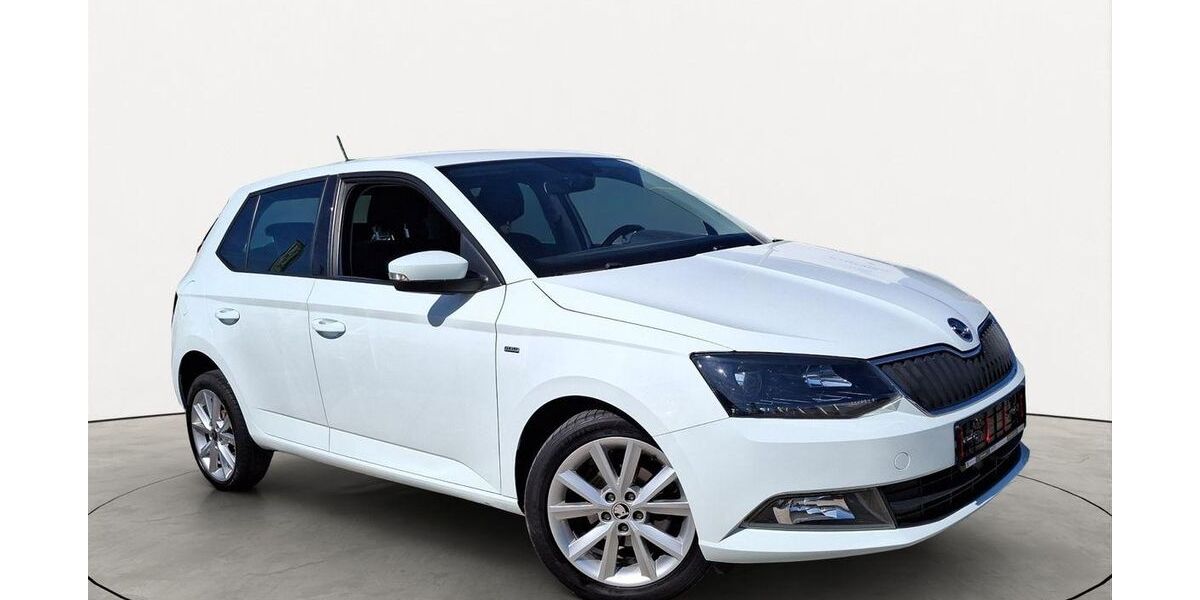 Skoda Fabia 63.350 km 9.150 &euro; Friedberg 61169