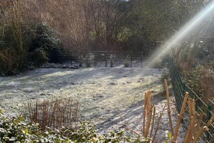Wohnung mit eigenem Garten in Darmstadt Bessungen 3 zimmer